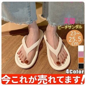 fB[X r[`T_ r[`Xbp C ][g T}[T_ r ̎q  V JWA 傫TCY |`v