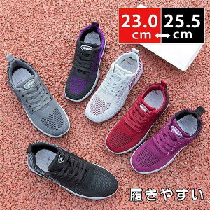 Xj[J[ fB[X EH[LO JWAV[Y WMO bV ʊw ʋ  t H AE^[ ₷ ɂȂ ̓