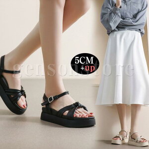 T_ ĐV tbgtH[ fB[X O r[`T_ OfBG[^[ y^R tbgC U[ XgbvT_ Ȃ OL