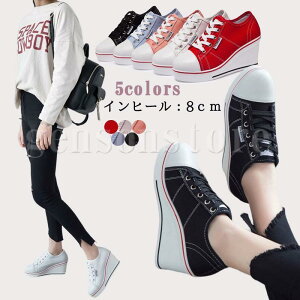 r8cm q[ Xj[J[ fB[X [Jbg Cq[Xj[J[ Ȃ ꂢ q[ Xj[J[ LoX  EFbW\[C JWA