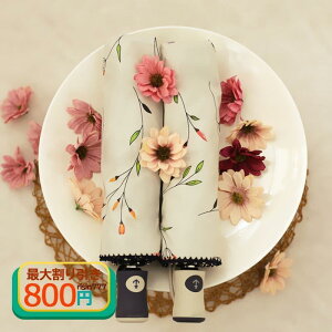 菑ԕP JP fB[X ԕP Jp y UVJbg ܂肽ݎP SՌ ϕP 100ՔM ՔM O΍ ԕ