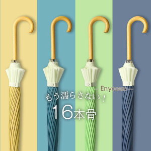 JP P WvP fB[X StP Jp jp  ^b` ܂ɂ 16{ P ɋ ~J΍