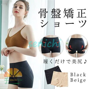 ՃV[c tgAbv R pc fB[X ՃV[c K[hV[c ₦  ͂܂ nCEGXg p Ճxg  YO Y