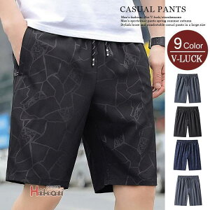 W[W Y n[tpc X|[cEFA V[gpc EFXgS {gX ^ jO ̓