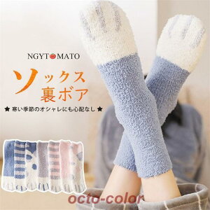 [\bNX ~ C {A \bNX V[g L 3Zbg Nу\bNX  C ۉ g ݑΖ h ₦΍ h΍