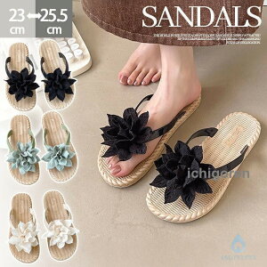 �T���_�� �r�[�`�T���_�� �g���O�T���_�� �X���b�p ���� �؂��� �t���b�g �����₷�� �ԕ� ���q�� �r�[�T�� �����̎q ���� ���q ���ł��� �y�� ���� ���l