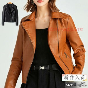 C_[XWPbg vW fB[X U[WPbg AE^[ e[[h HD JWA  oCN   ʋ tH