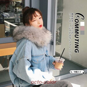 ȃR[g fB[X _ER[g fj  V[g _E t[ht ȓ  h  AE^[ ~ 