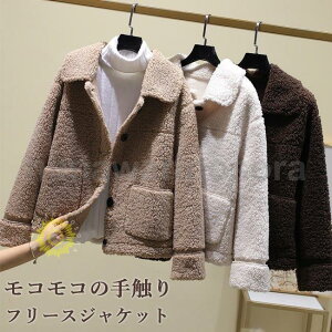 t[XWPbg fB[X RR WPbg ~ [gWPbg t[X WPbg g _btR[g  ʋ