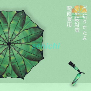 ܂肽ݎP P fB[X JP JpP vg O΍ SՌ y 3i܂肽 IV  p Pܕt 8{ UVJbg 