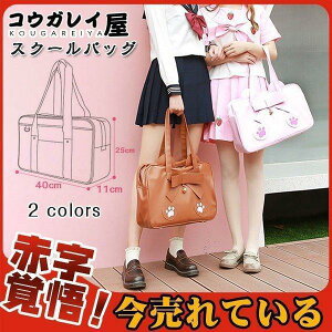 XN[obO {  fB[X wJo q ʊw Z e y   JK  傫 a 