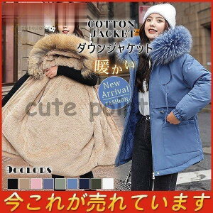 _EWPbg  _ER[g ~ O EGXgi G fB[X g t[ht ꂢ OR[g y AC