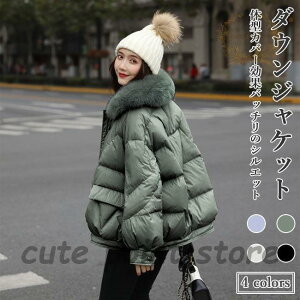 _EWPbg ̌^Jo[ fB[X _ER[g t@[ LeBOWPbg _E AE^[ ݃t@[ ~ h  ʋ