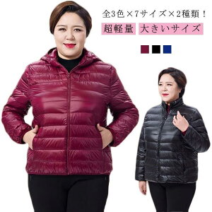 y _EWPbg fB[X _ER[g V[g Cg_E CgWPbg AE^[ y t[gt  h h H~R