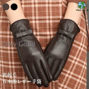 U[ N  fB[X ~ ܖ{w rv h ʋ oCN ] 5{w ^b`plΉ ~ {A g Nю