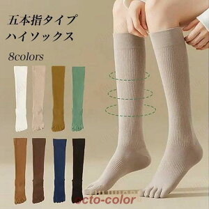 ܖ{w nC\bNX fB[X C hL ܖ{wnC\bNX u\bNX  5{w\bNX nC  z ȍ n ܖ{wC X|[c