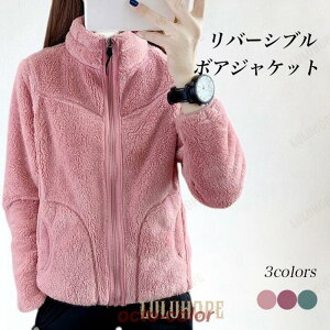 t[XWPbg fB[X o[Vu {AWPbg  WPbg  RR ~ H AE^[ WbvAbv   