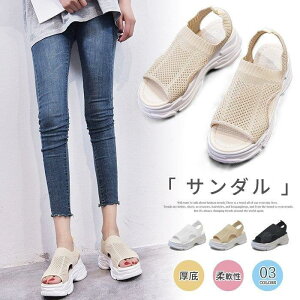 T_ fB[X  bV X|[cT_ ʋC ؍ JWA ₷ tbg 