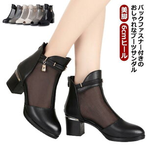 T}[u[c bV fB[XT_ V[gu[c  pvX [q[ ANu[c  tău[c T_ r 6cmq[ V