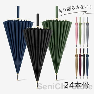 JP P WvP fB[X StP Jp jp  ^b` J ܂ɂ 24{ P ɋ ~J΍