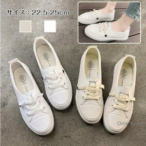 Xj[J[ C fB[X [Jbg V[Y ₷ pvXXj[J[ ₷  ʋ ʊw y PU Vv 킢 JWA