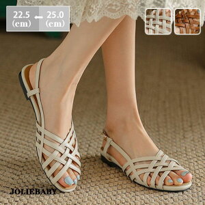 T_ fB[X OJT_ T_ ҂ݍ tbg ؍ r _炩 ₷  JWA t 20 30