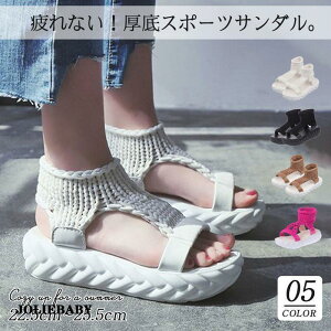 T_ X|[cT_ fB[X V[Y T_ jbg r[`T_ y  ₷ C   n