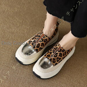 Xb| fB[X C V[Y Xb| Xj[J[ ؂ TChSA t  ꂢ l  l JWA   ₷