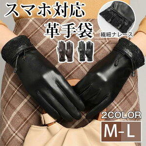 X}zΉ  fB[X v rv oCN H~  {v[u  {v ʋ rWlX  Mtg v[g ޏ h΍