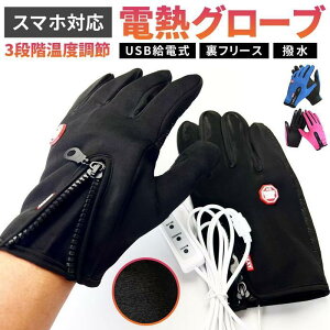 電熱手袋 ヒーター付き USB給電式 3段階温度調節 スマホ対応 男女兼用 裏フリース 撥水 ホットグローブ 電熱グローブ 配色 ファスナー付き