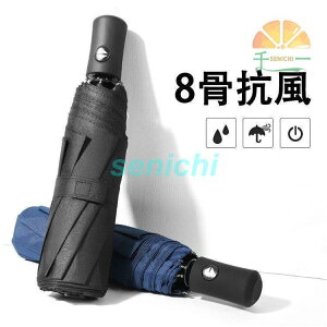 P ܂肽ݎP amP fB[X Y J P y Jp ܂肽ݎP UVJbg 8/10{JP Ռ ՔM 3i܂肽 O΍