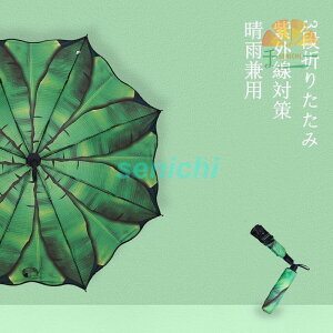 ܂肽ݎP P fB[X JP JpP vg O΍ SՌ y 3i܂肽 IV  p Pܕt 8{ UVJbg 