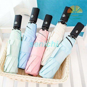 P ܂肽ݎP fB[X Y 8{ J n  y Jp ܂肽ݎP UVJbg P JP Ռ ՔM 3i܂肽 O΍