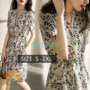 s[X fB[X 40 Ђ t s[X ԕ vlbN tAXJ[g ꂢ ؍ l i 20 30 50  p[eB[hX