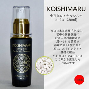 y{zY e  qɗD@ΊۃCVNIC@v[g Mtg@