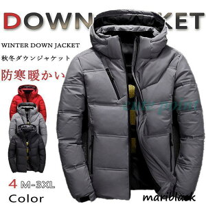 _EWPbg Y n nClbN AE^[ LeBOR[g t[ht h g ~ yĒg₷ _炩 K X[c̏