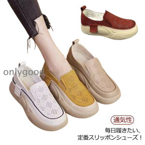  Xb|  [q[ q[4cm O ʋC RtH[gV[Y fB[X Xj[J[ O C  y y