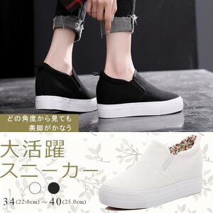 Xj[J[ fB[X nCq[ X|[c _XV[Y  Xb| V[Y fjXj[J[ r ₷ n q[F6CM