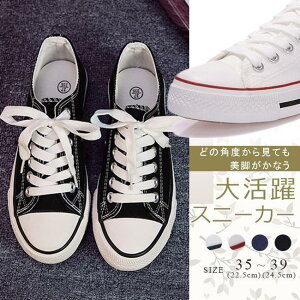 Xj[J[ fB[X LoX [XAbvV[Y ҂ݏグ ₷ V[Y ʊw ʋ r JWAV[Y S4F