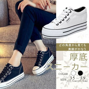 Xj[J[ fB[X LoX  Cq[ [XAbvV[Y ҂ݏグ ʊw ʋ r JWAV[Y   S2F