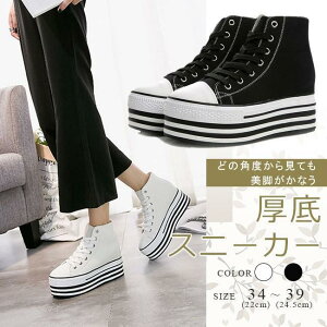 Xj[J[ fB[X LoX  Cq[ [XAbvV[Y ҂ݏグ ʊw ʋ r JWAV[Y S2F 傫TCY