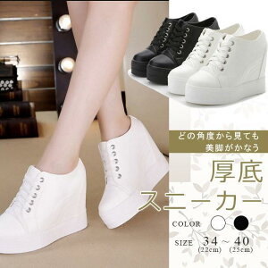 Xj[J[ fB[X PU  Vv  Cq[ [XAbvV[Y ҂ݏグ ʊw ʋ r JWAV[Y S2F 傫TCY