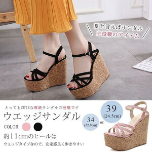 T_ fB[X  EFbW\[ I[vgD nCq[ Vv Xgbv r  ₷  S2F 傫TCY