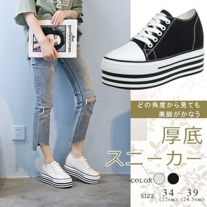 Xj[J[ fB[X LoX  Cq[ ҂ݏグ [XAbv ₷ V[Y ʊw ʋ r JWA    傫TCY