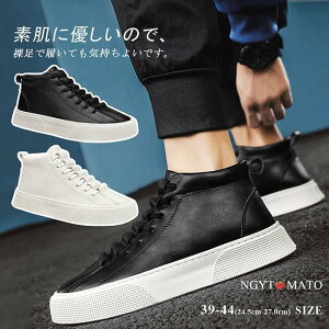 Xj[J[ Y ^C  YV[Y [XAbv ҂ݏグV[Y PU  r tbg JWA   ؍ ₷ 