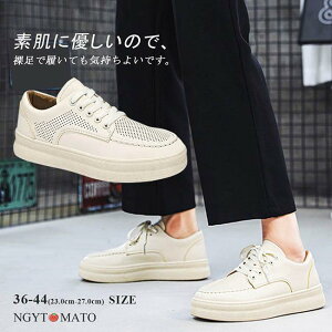 Xj[J[ Y ^C  jp [XAbvV[Y fB[X ҂ݏグ PU  r tbg JWA  y ₷  ؍