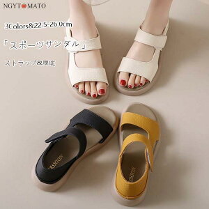 T_ fB[X X|[cT_ vbgtH[ tbgq[ Ɠ߂ ₷ ₷ JWA   r y  