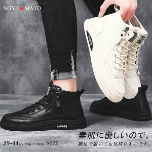 Xj[J[ Y nCJbg ^C YV[Y [XAbvV[Y ҂ݏグ PU  r tbgq[ JWA   y ₷ 