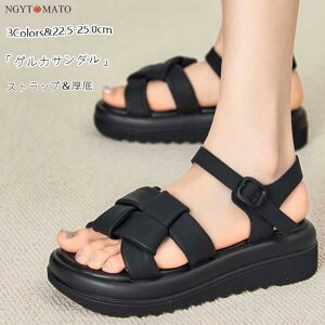 T_ fB[X T_  _炩 Xgbv vbgtH[ PU ₷ ₷  r  l JWA  