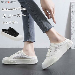 Xj[J[ JJgȂ Xb| fB[X  [X tbg ʋC [XAbv ҂ݏグV[Y r ₷ Vv JWA 